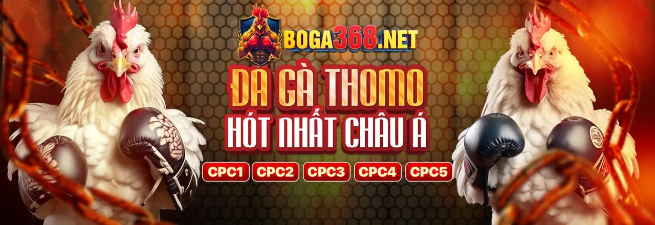 Đá gà trực tiếp tại betcom888 link vào